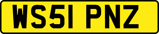 WS51PNZ
