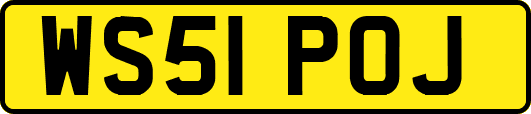 WS51POJ