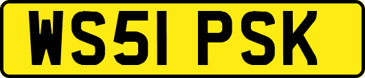 WS51PSK