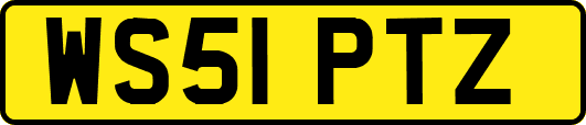 WS51PTZ