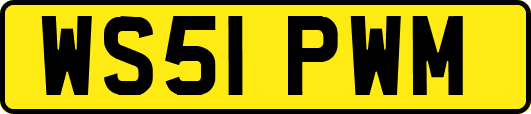 WS51PWM