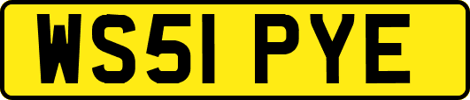 WS51PYE