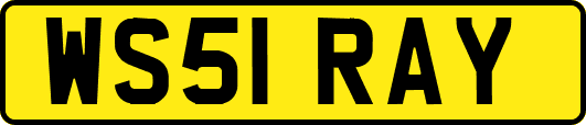 WS51RAY