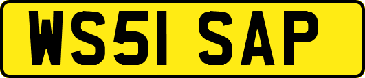 WS51SAP