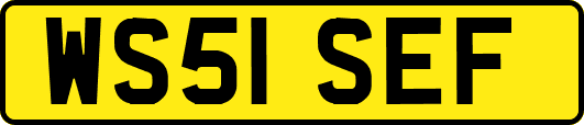 WS51SEF