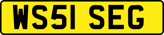 WS51SEG