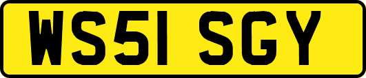 WS51SGY