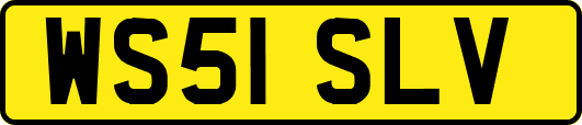 WS51SLV