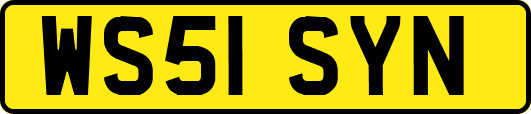 WS51SYN