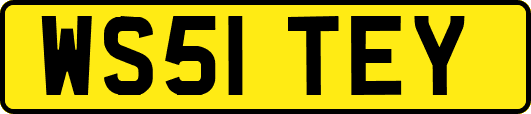 WS51TEY