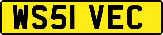 WS51VEC