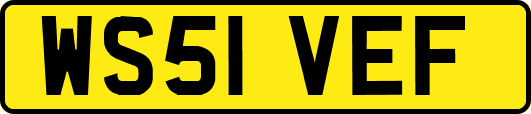 WS51VEF