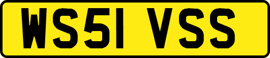 WS51VSS