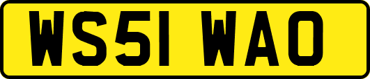WS51WAO