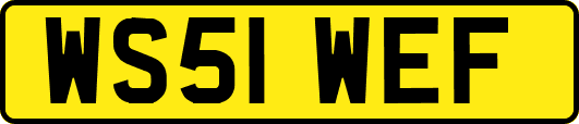 WS51WEF