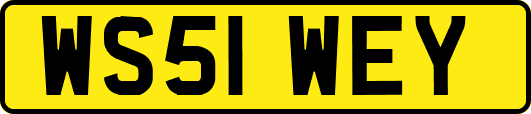 WS51WEY