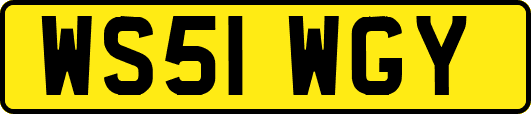 WS51WGY