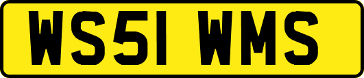 WS51WMS
