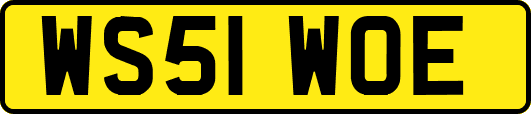 WS51WOE