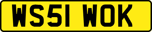 WS51WOK