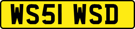 WS51WSD
