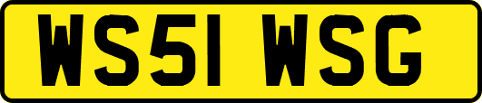 WS51WSG