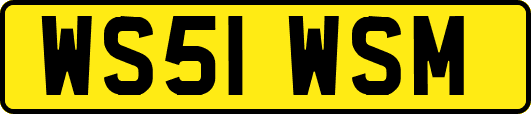 WS51WSM