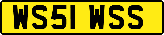 WS51WSS