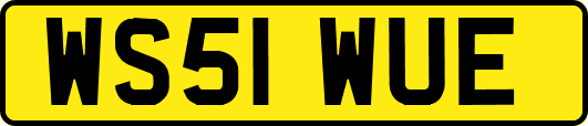 WS51WUE