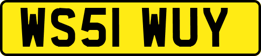 WS51WUY