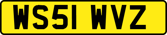 WS51WVZ
