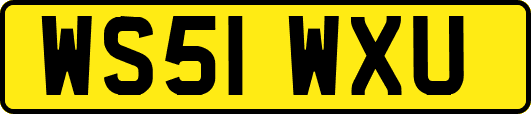 WS51WXU