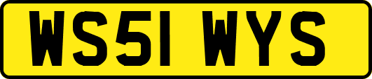 WS51WYS