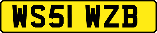 WS51WZB