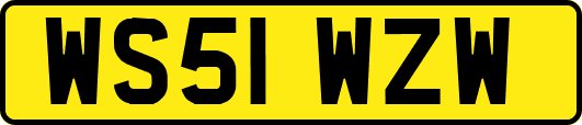 WS51WZW