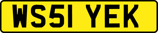 WS51YEK