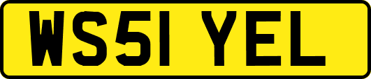 WS51YEL