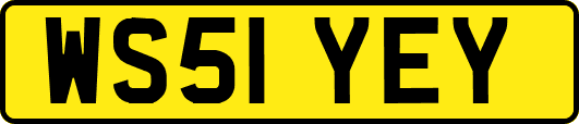 WS51YEY