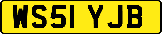 WS51YJB