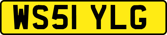 WS51YLG