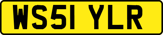 WS51YLR