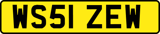 WS51ZEW