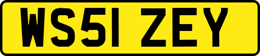 WS51ZEY