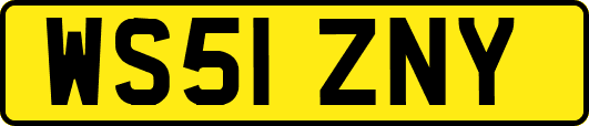 WS51ZNY