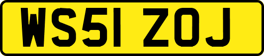 WS51ZOJ