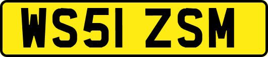 WS51ZSM