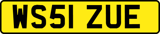 WS51ZUE