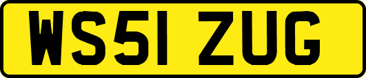 WS51ZUG