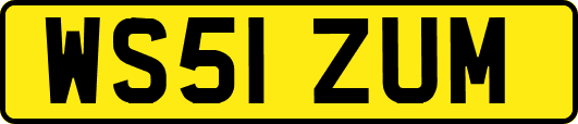 WS51ZUM