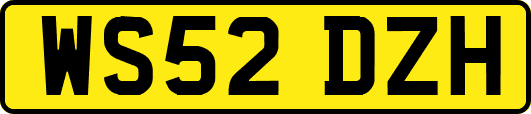 WS52DZH